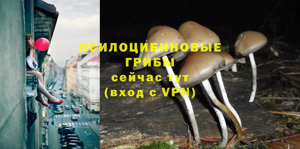 ECSTASY Заволжье