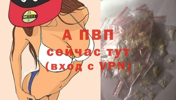 ECSTASY Заволжье